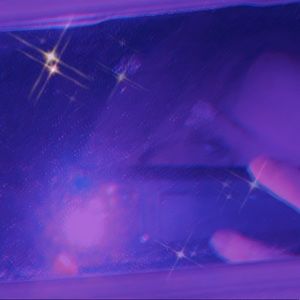 Meet your Posher, Chelsea